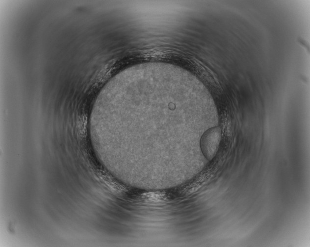 X0000097810660200804110952