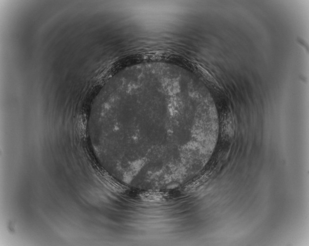 X0000097810661200804110952