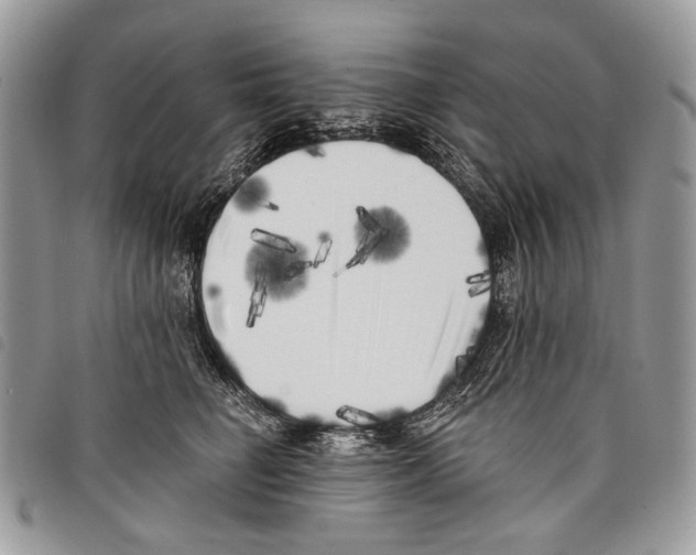 X0000097810662200804110952