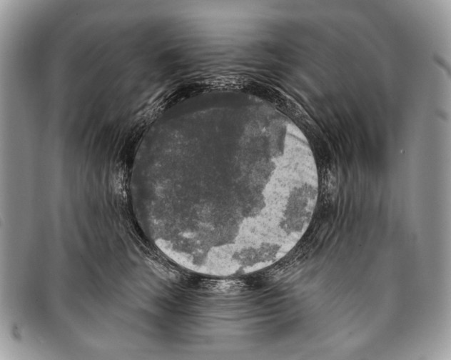 X0000097810663200804110952