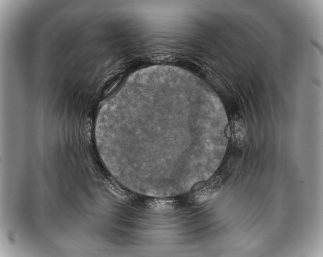 X0000097810664200804110952