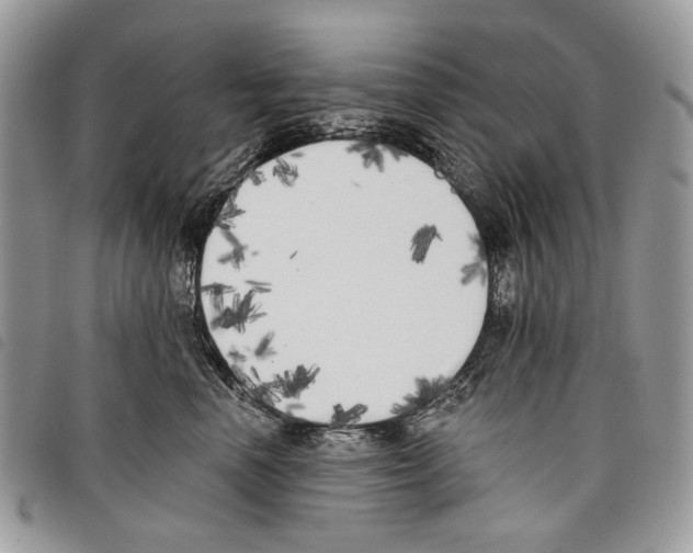 X0000097810666200804110952