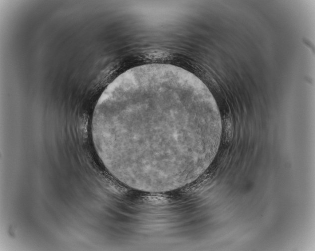 X0000097810668200804110952