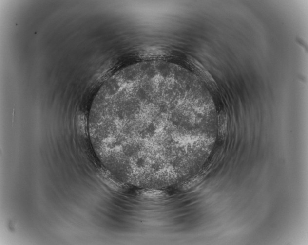 X0000097810669200804110952