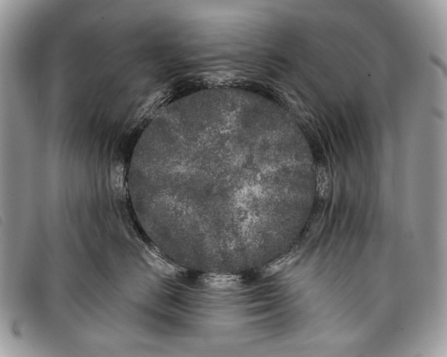 X0000097810670200804110952