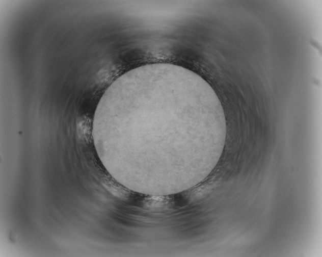 X0000097810672200804110952