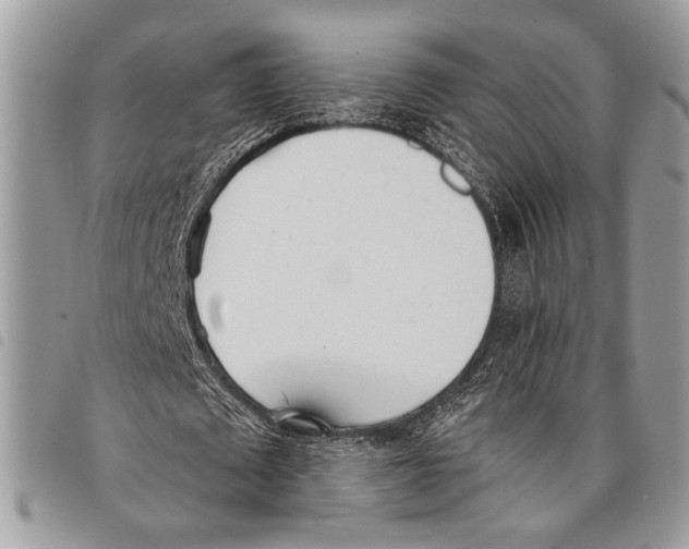 X0000097810673200804110951