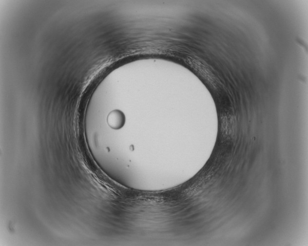 X0000097810676200804110951