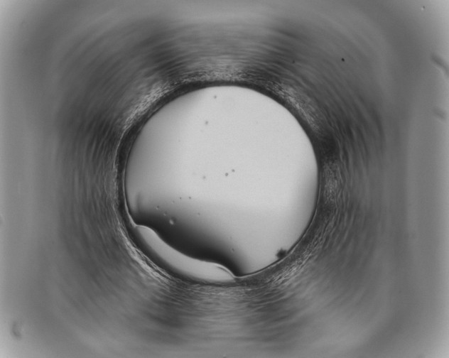 X0000097810677200804110951