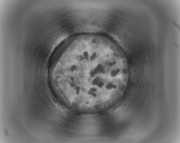 X0000097810679200804110951