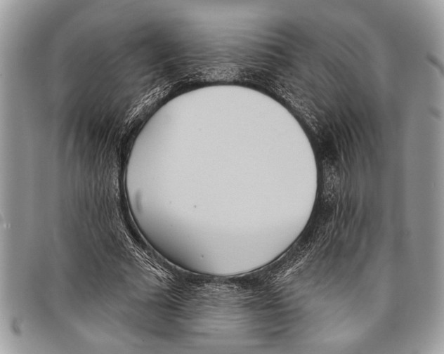 X0000097810681200804110951