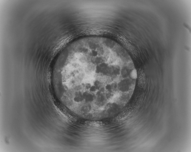 X0000097810683200804110951