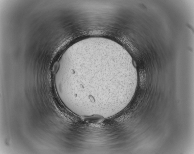 X0000097810684200804110951