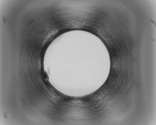 X0000097810685200804110951