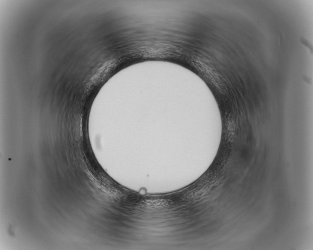 X0000097810686200804110951