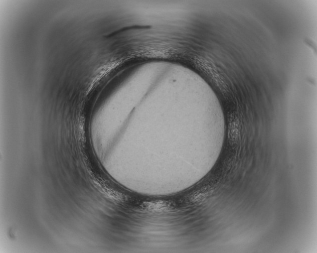 X0000097810688200804110951