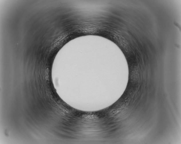 X0000097810689200804110951