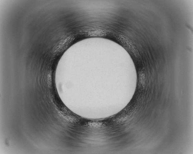 X0000097810690200804110951