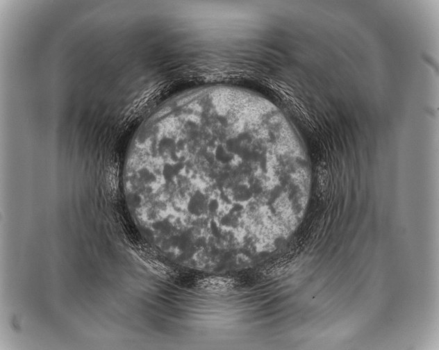 X0000097810691200804110951