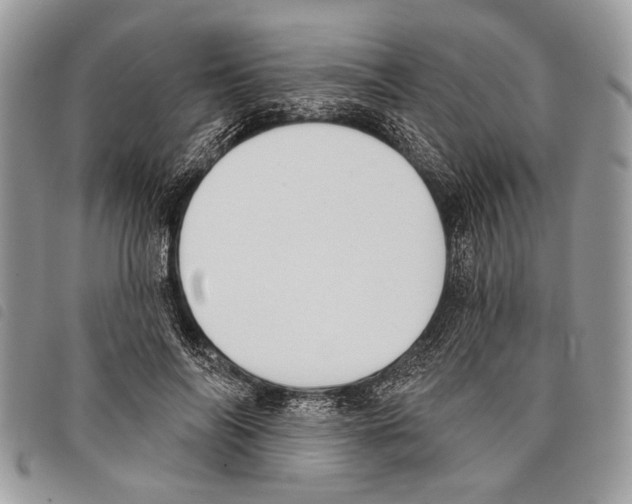 X0000097810694200804110951