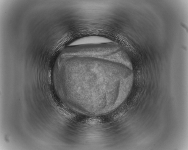 X0000097810696200804110951