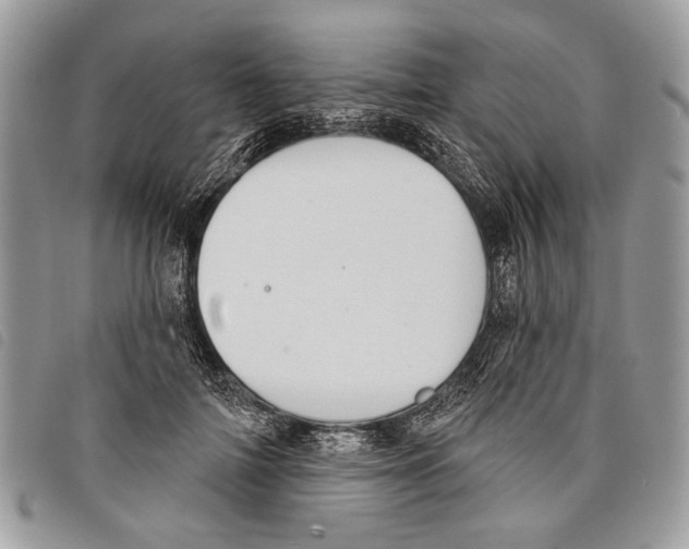 X0000097810698200804110951