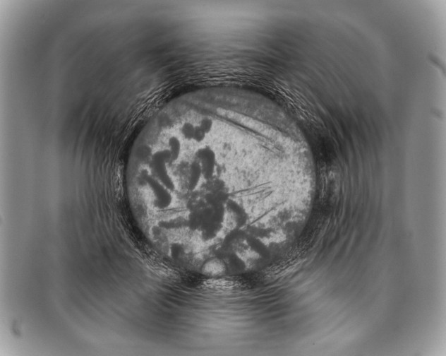 X0000097810699200804110951