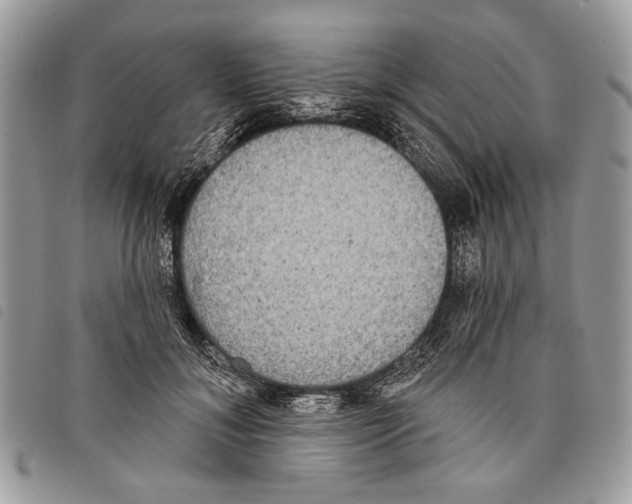 X0000097810700200804110951