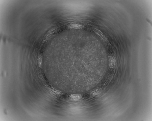 X0000097810701200804110951