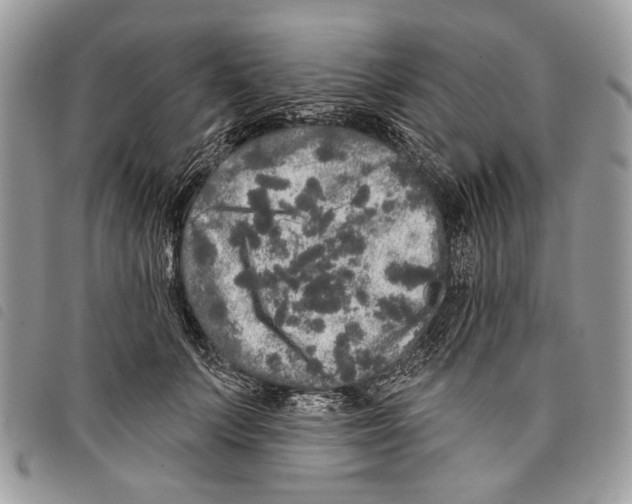 X0000097810703200804110951