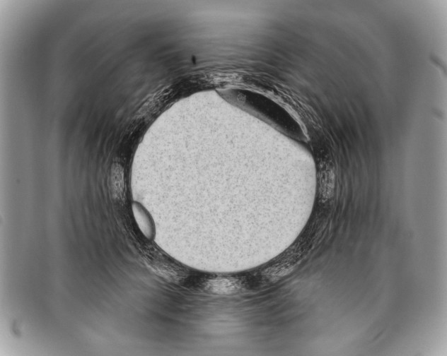 X0000097810704200804110951