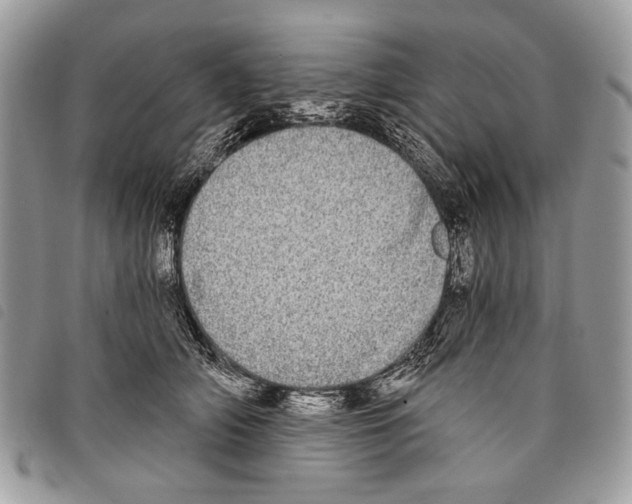 X0000097810706200804110951