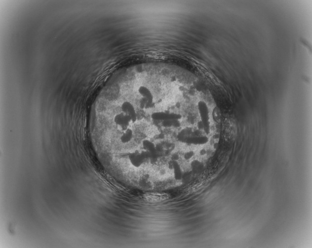 X0000097810707200804110951