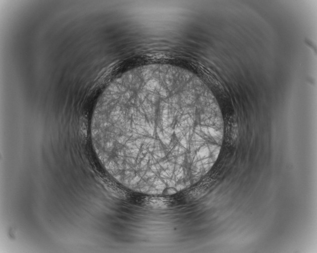 X0000097810710200804110951