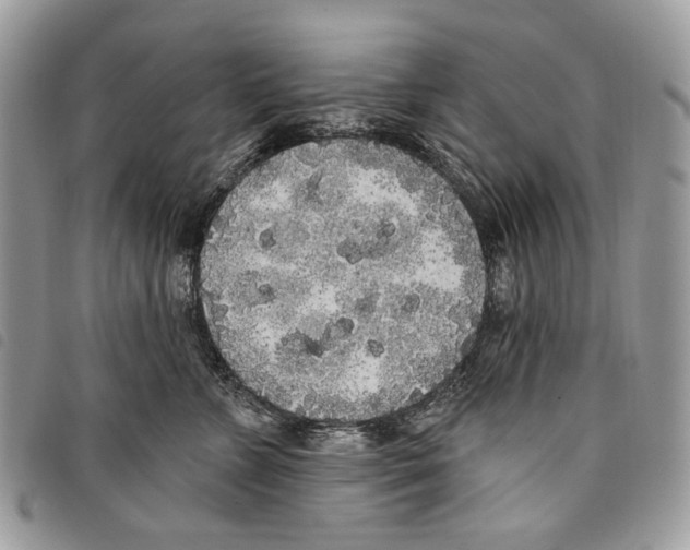 X0000097810715200804110951