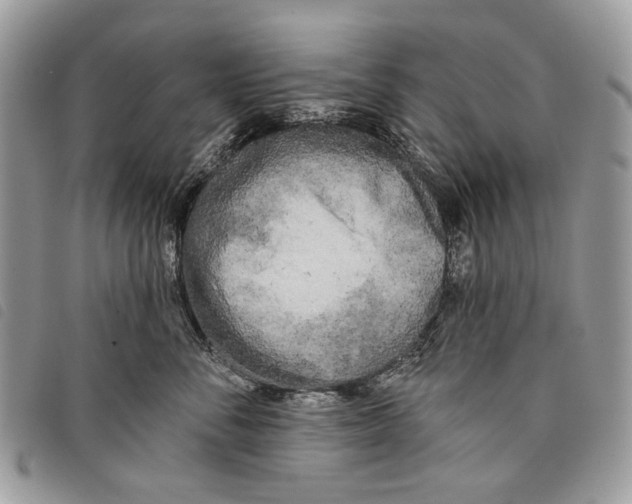 X0000097810716200804110951