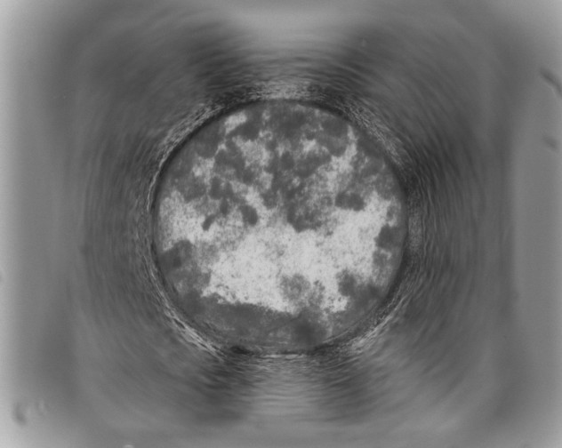 X0000097810721200804110950