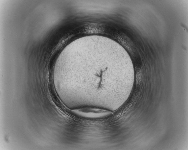 X0000097810722200804110950