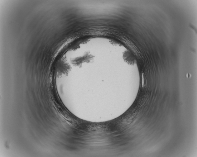 X0000097810723200804110950