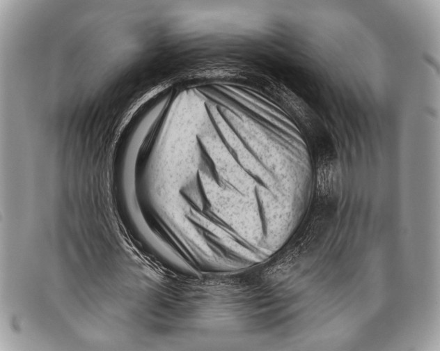 X0000097810724200804110950