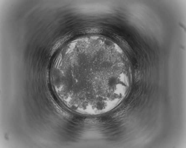 X0000097810725200804110950