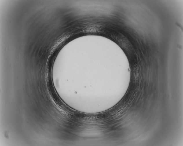 X0000097810728200804110950