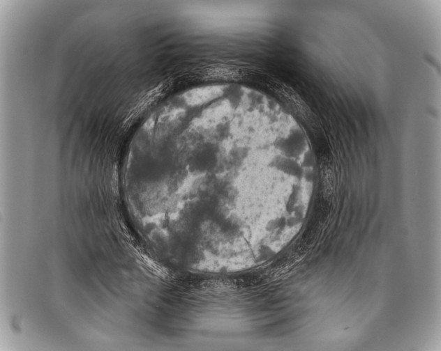 X0000097810729200804110950