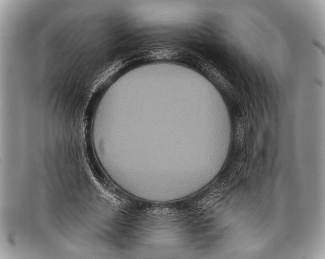 X0000097810730200804110950