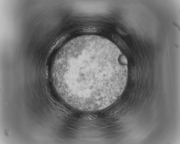 X0000097810731200804110950