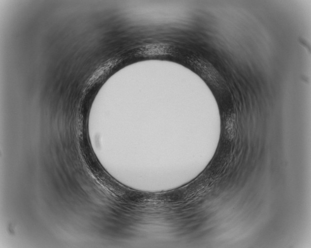 X0000097810732200804110950