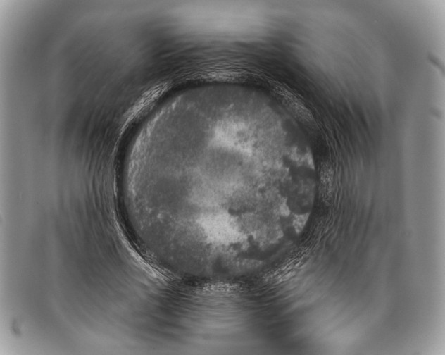 X0000097810734200804110950