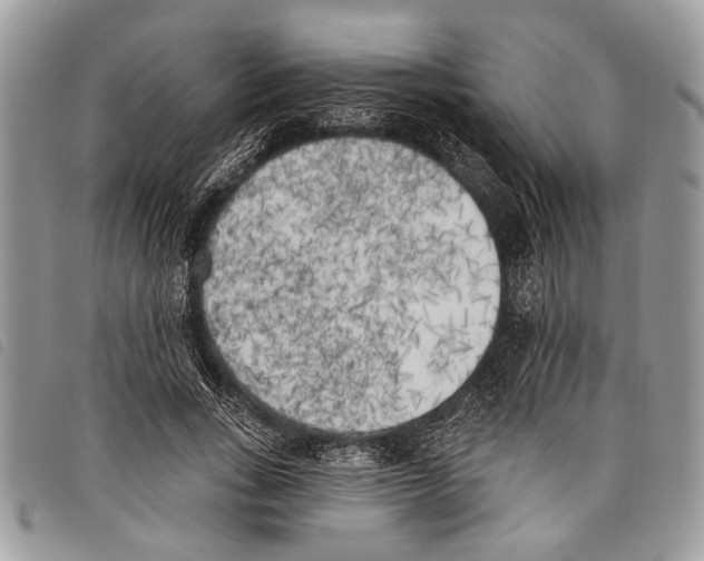 X0000097810735200804110950