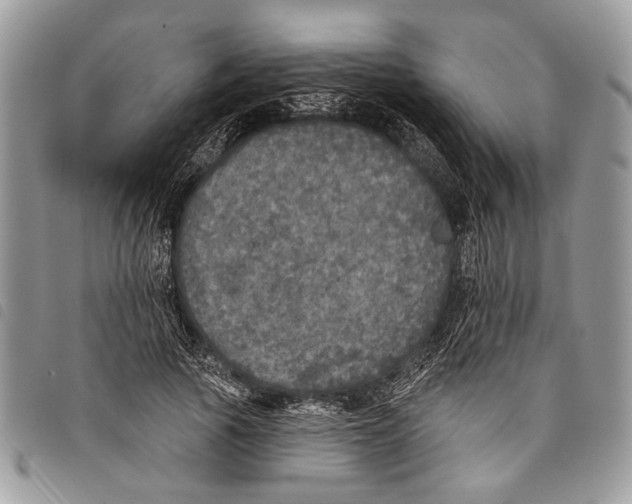 X0000097810737200804110950