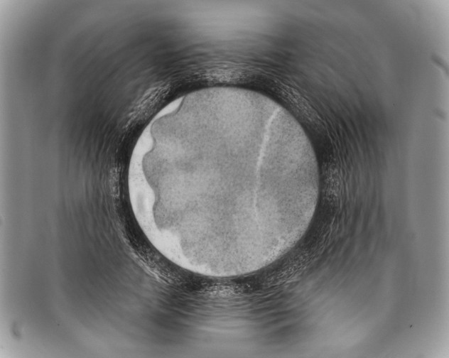 X0000097810738200804110950